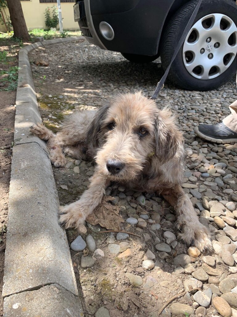 Morgan found on the road