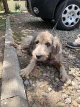 Morgan found on the road