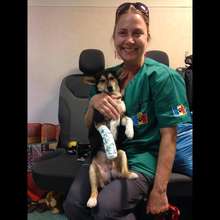 Mr Toad with his cast and Nancy Janes