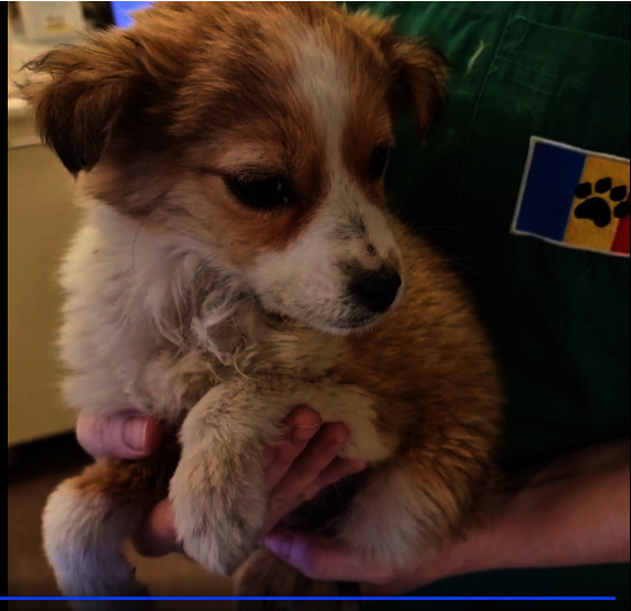 Tailor at Center of Hope