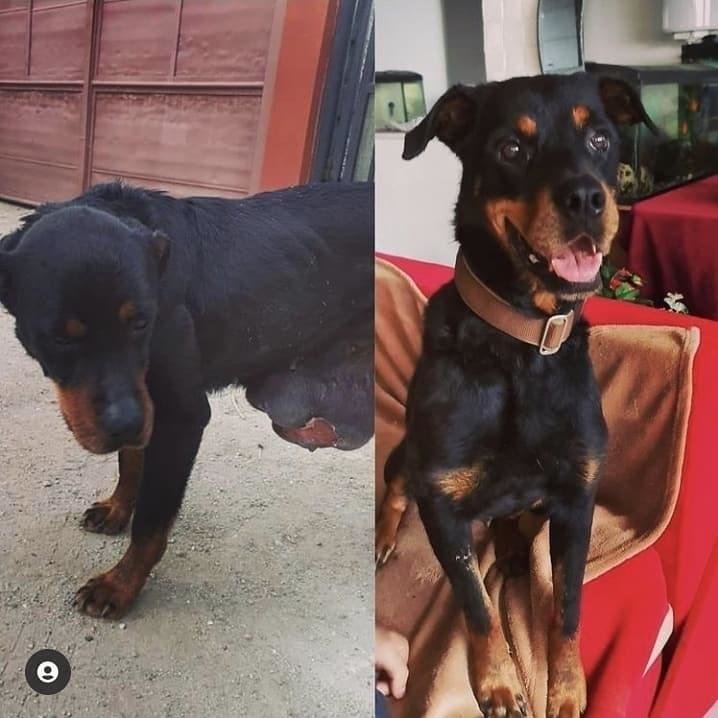 Marla's road to health