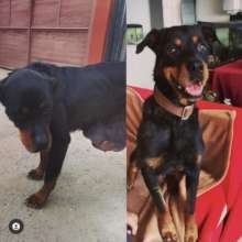 Marla's road to health