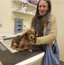 Alfie and his distraught owner prior to our help