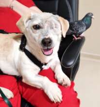 Azorel and his little bird friend