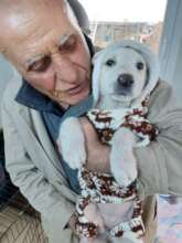 Bloom with the Saint following her bath