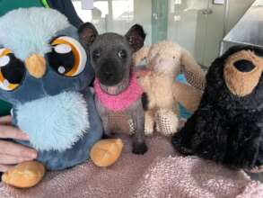 Catarina staying snuggly at Center of Hope