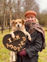 Cherry adopted in Holland