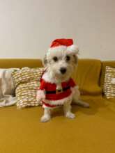 Happy Holidays to our wonderful Supporters!