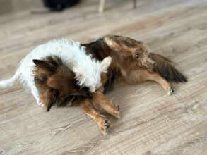 Connie (Coco) with Chase