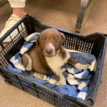 Hugo when he arrived at Center of Hope