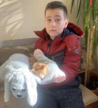 young lad with injured kitten