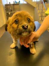 Tiny tot with fractured legs