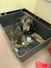 Grandpa arrives at Center of Hope