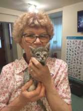 the homeless kitty after surgery with new mama