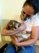 Leo recovered and adopted by his rescuer