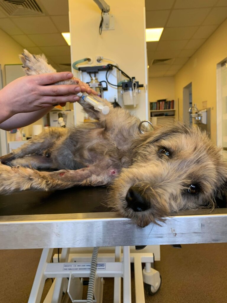 Morgan being examined