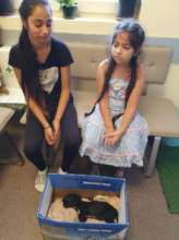 young girls brought in a parvo puppy for treatment