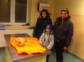 parvo puppy with family