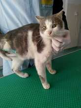 Tom received amputation for his leg