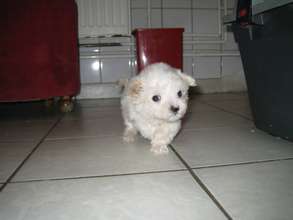 Snowflake at the clinic