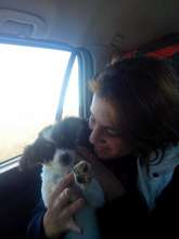 Ranna puppy, the little runt