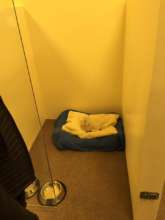 one of 6 cement recovery kennels.  24 stainless