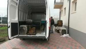 spay shuttle picks up animals for transport
