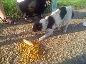 starving Ranna on the side of the road