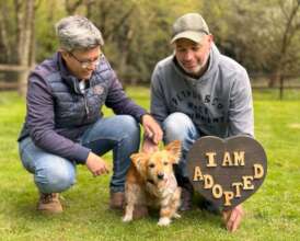 Little Tango gets adopted!