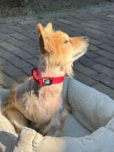 Breathing the fresh air in Holland