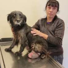 Tumor girl from the streets