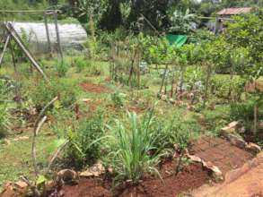 Organic gardens are more colourful and growing!