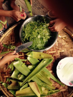 Natural medicine preparations