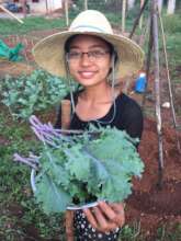 Our amazing organic red russianpurple kale