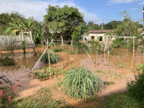 Early monsoon flooding in the veggie gardens
