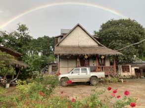 A little color to brighten monsoon season