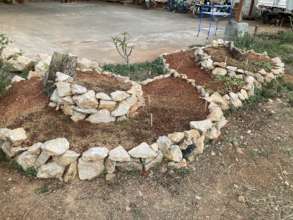 Waiting for it to turn green and lush!