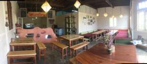 Renovation of Sprouting Seeds interior