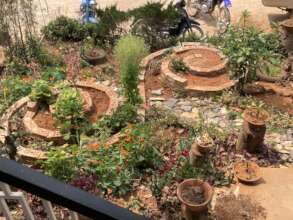 Small garden space between buildings