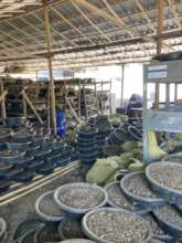 Exposure trip to vermi-compost project