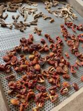 Solar dried fruits and sun dried tomatoes!