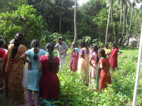 Kitchen garden training