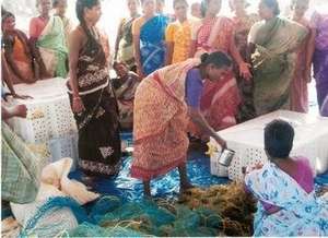 Training on Seaweed cultivation