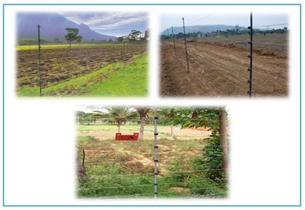 COMMUNITY BASED POWER FENCE TO SAVE ELEPHANTS