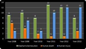 Elephant death, human death and injury in BTR