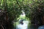 Help Preserve Biodiversity in Port Royal, Jamaica