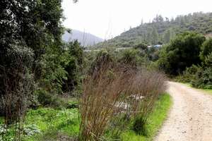 The Nahal Soreq River Nature Reserve