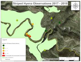 Distribution map of hyena sightings
