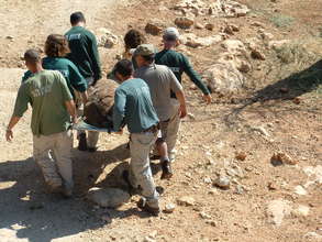 A Persian Fallow Deer is removed from the Zoo