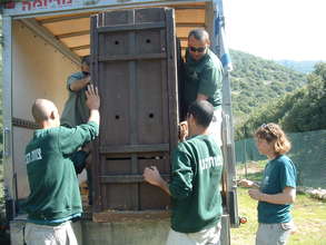 Transportation of the deer to the release site